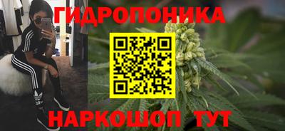 сатива Краснодар