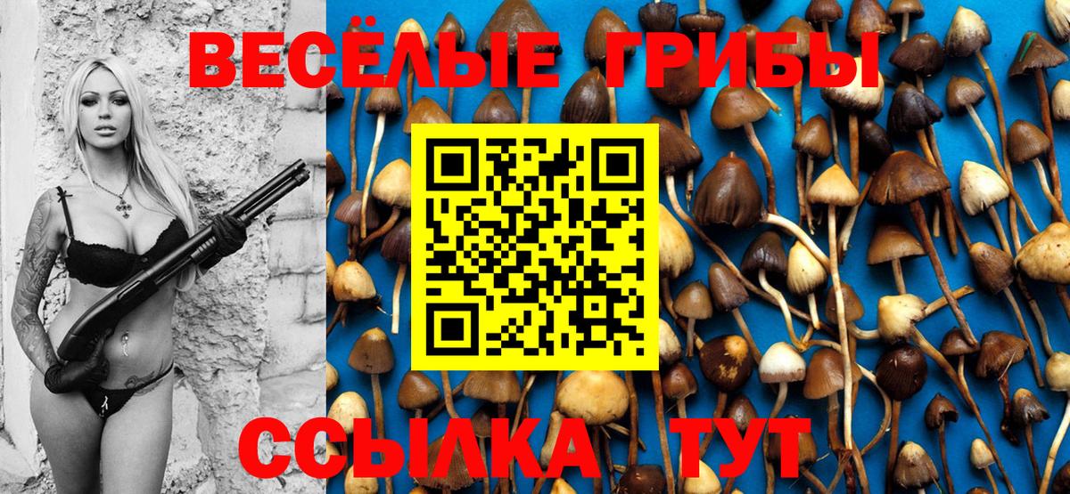 Галлюциногенные грибы GOLDEN TEACHER  как найти   Унеча  Вход с VPN 
