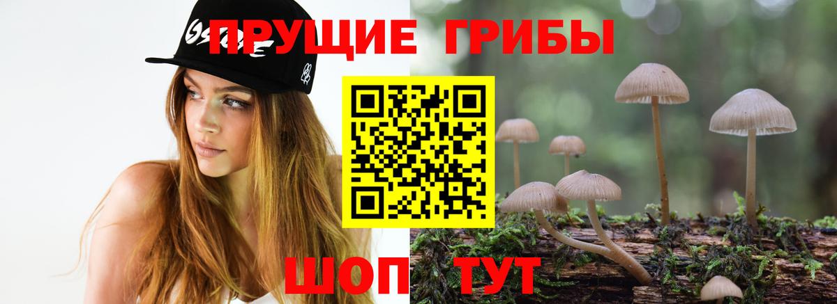Галлюциногенные грибы MAGIC MUSHROOMS Унеча