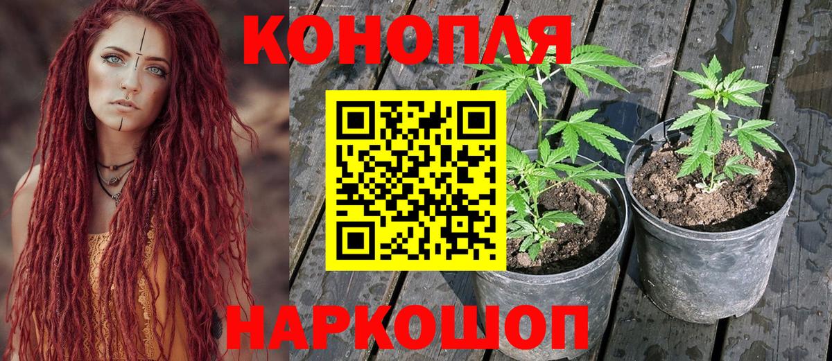 Марихуана планчик Унеча