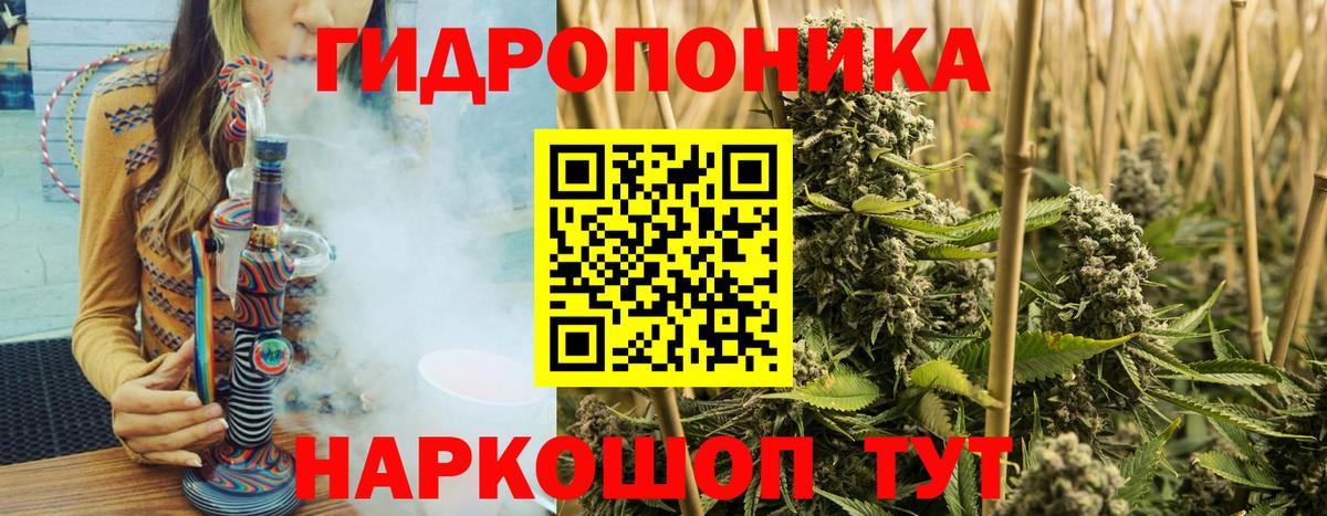 Марихуана семена  Бошки марихуана гибрид  Унеча  Бошки марихуана SATIVA & INDICA  Бошки марихуана планчик  Вход с VPN 